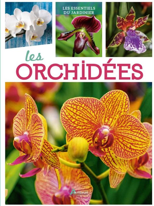 Emprunter Les orchidées livre