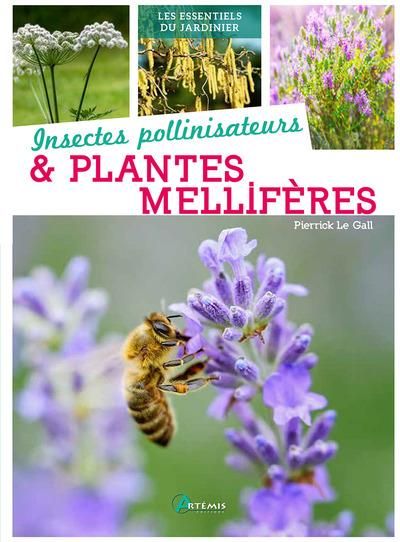 Emprunter Insectes pollinisateurs & plantes mellifères livre