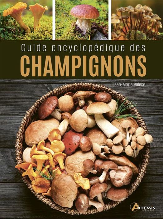 Emprunter Guide encyclopédique des champignons livre