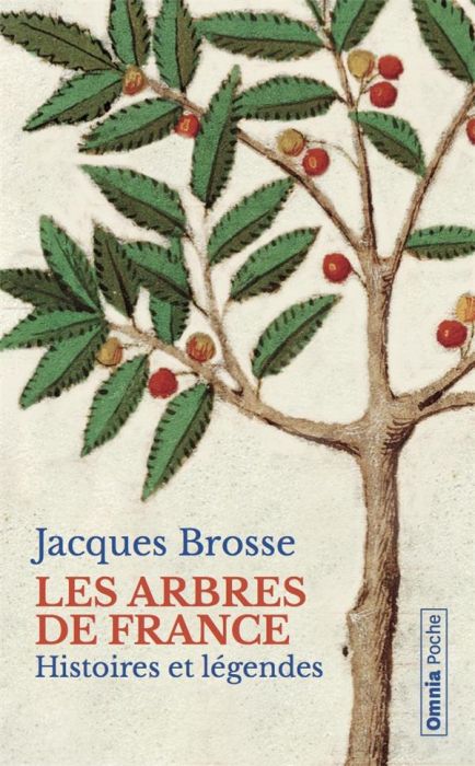 Emprunter Les arbres de France. Histoires et légendes livre