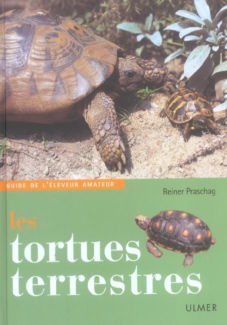 Emprunter Les tortues terrestres livre