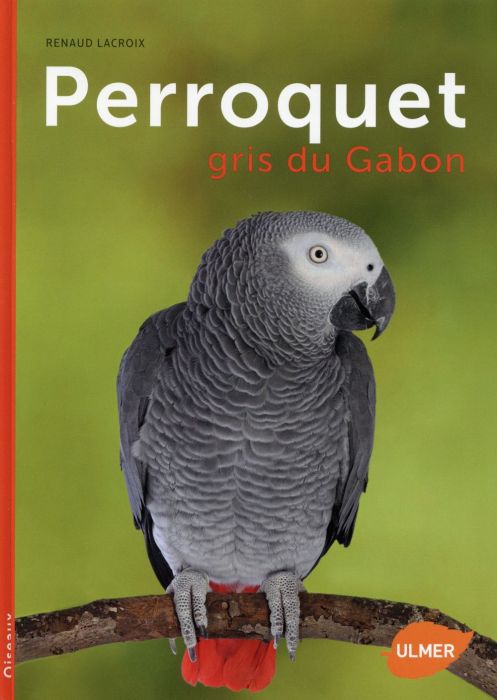 Emprunter Perroquet gris du Gabon livre