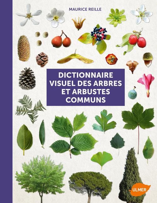 Emprunter Dictionnaire visuel des arbres et arbustes communs livre