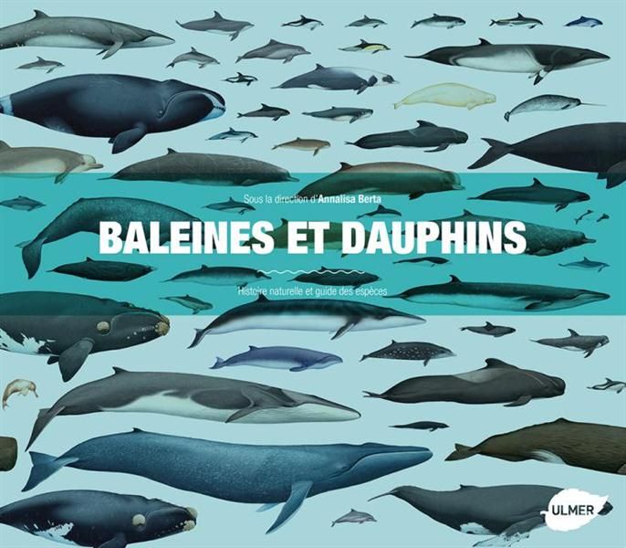 Emprunter Baleines et dauphins. Histoire naturelle et guide des espèces livre