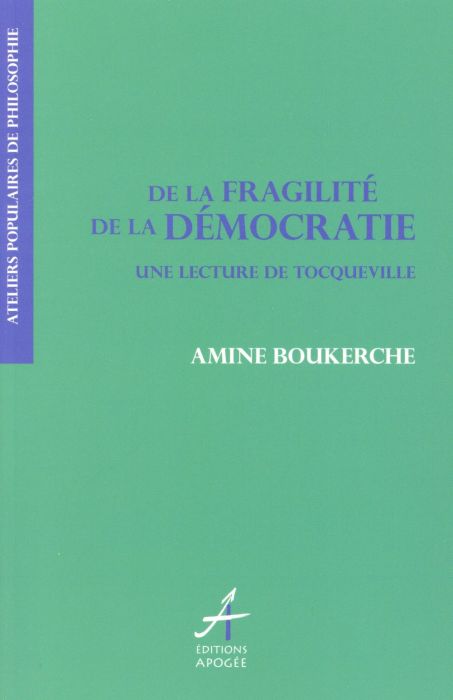 Emprunter De la fragilité de la démocratie / Une lecture de Tocqueville livre