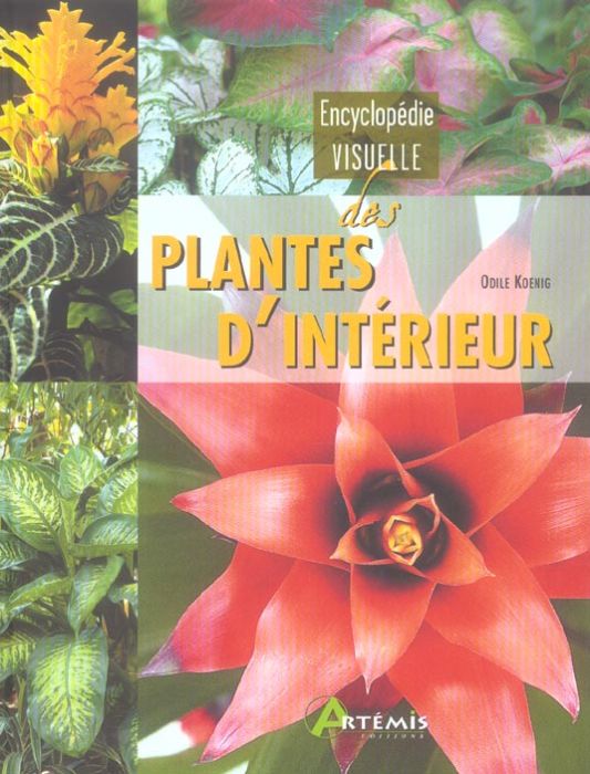 Emprunter Encyclopédie visuelle des plantes d'intérieur livre