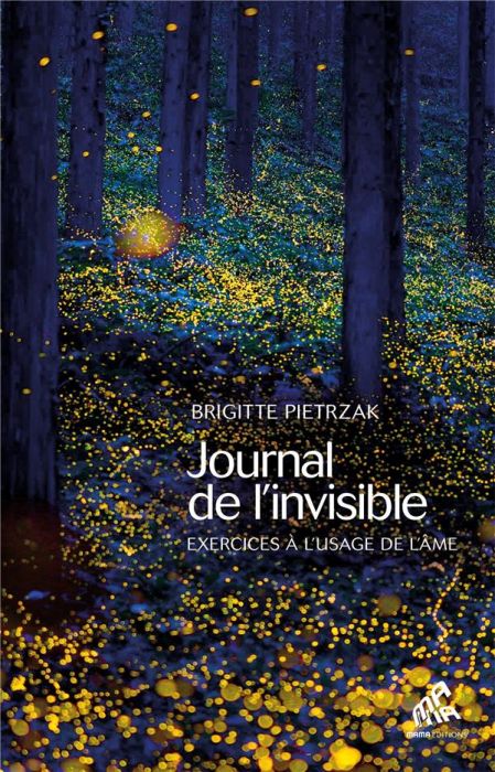 Emprunter Journal de l'invisible livre