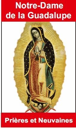 Emprunter Notre-Dame de la Guadalupe livre