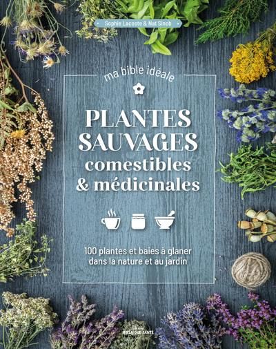 Emprunter Plantes sauvages comestibles & médicinales. 100 plantes & baies à glaner dans la nature et au jardin livre
