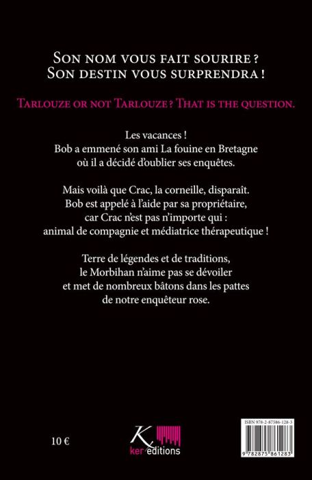 Emprunter Les aventures de Bob Tarlouze Tome 4 : Fais pas l'andouille ! livre
