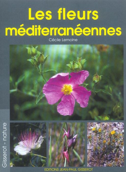 Emprunter Les fleurs méditerranéennes livre