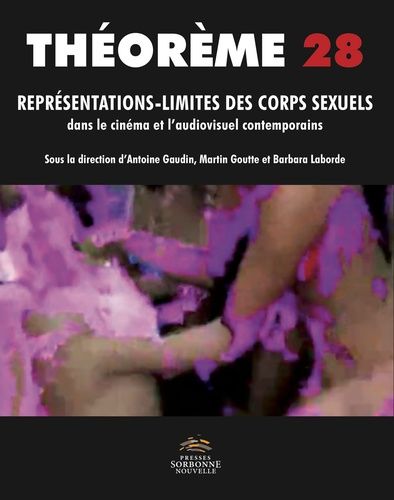 Emprunter Représentations-limites des corps sexuels dans le cinéma et l'audiovisuel contemporains livre