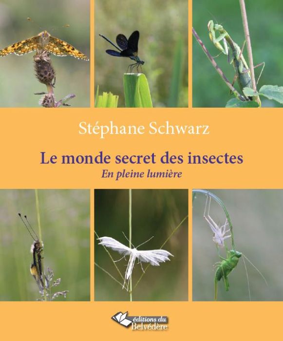 Emprunter Le monde secret des insectes. En pleine lumière livre