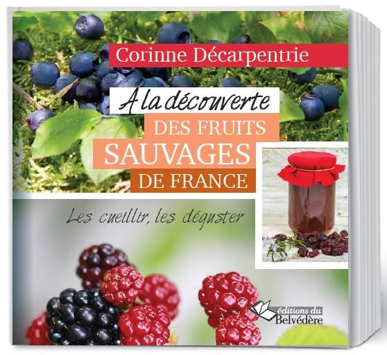 Emprunter A la découverte des fruits sauvages de France. Les cueillir, les déguster livre