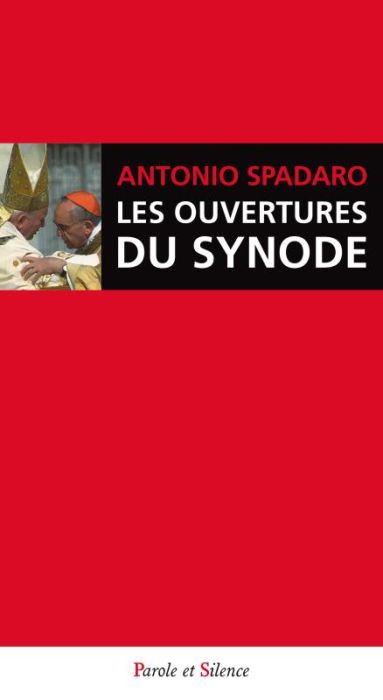 Emprunter La synode sur la famille / Portes ouvertes livre