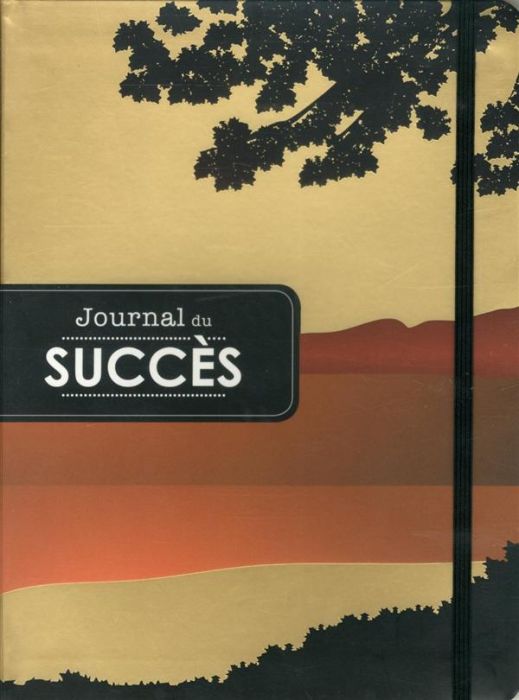 Emprunter Journal du succès livre