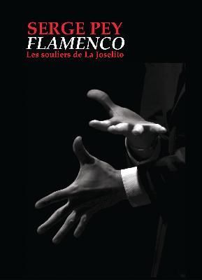 Emprunter Flamenco. Les souliers de La Joselito livre