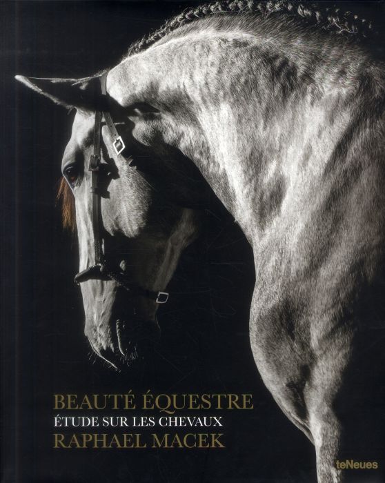 Emprunter EQUINE BEAUTY, A STUDY OF HORSES -PROMO- livre