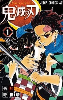 Emprunter Demon slayer 1 (manga en vo japonais) livre