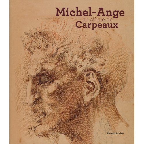 Emprunter Michel-Ange au siècle de Carpeaux livre