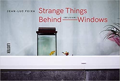 Emprunter Strange things behind belgian windows livre