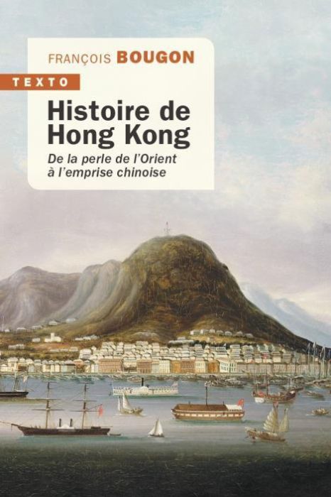 Emprunter Histoire de Hong Kong. De la perle de l'Orient à l'emprise chinoise livre