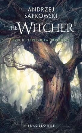 Emprunter The Witcher Tome 2 : L'Epée de la providence livre