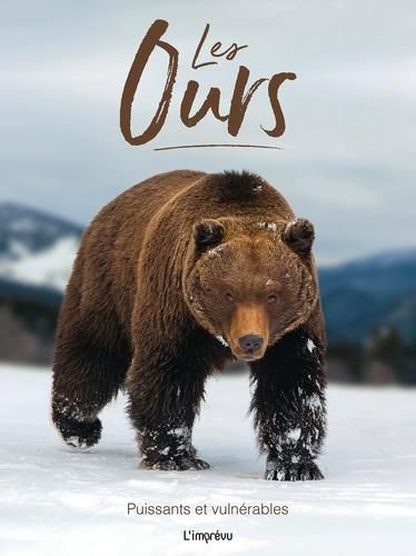 Emprunter Les ours. Puissants et vulnérables livre
