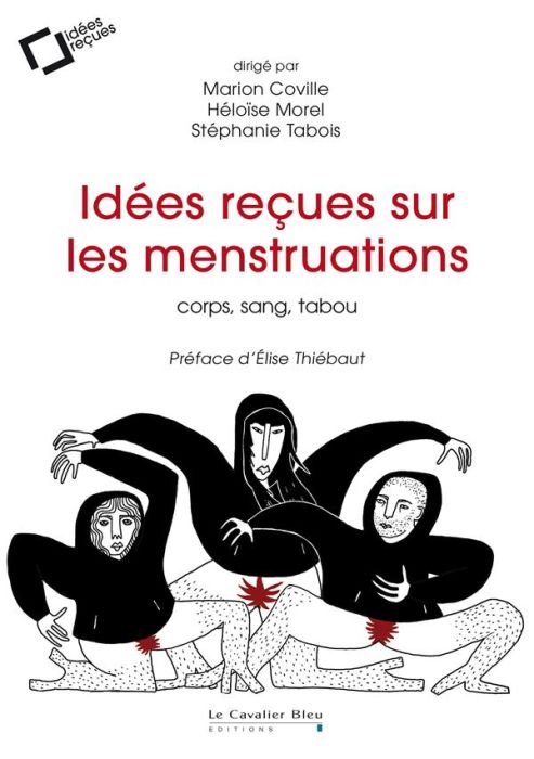 Emprunter Idées reçues sur les menstruations. Corps, sang, tabou livre