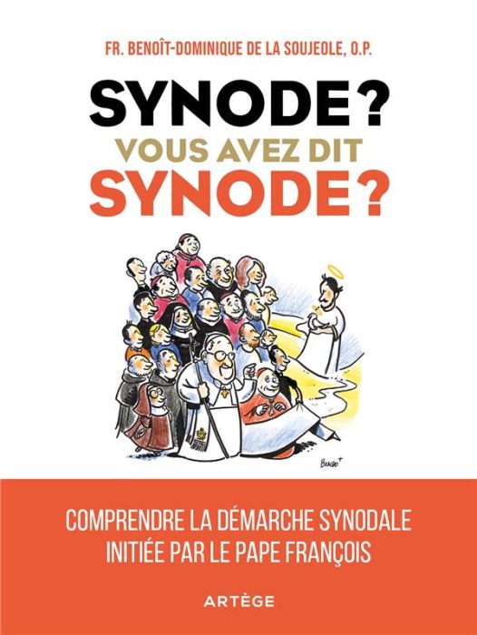 Emprunter Synode ? Vous avez dit synode ?. Comprendre la démarche synodale initiée par le pape François livre