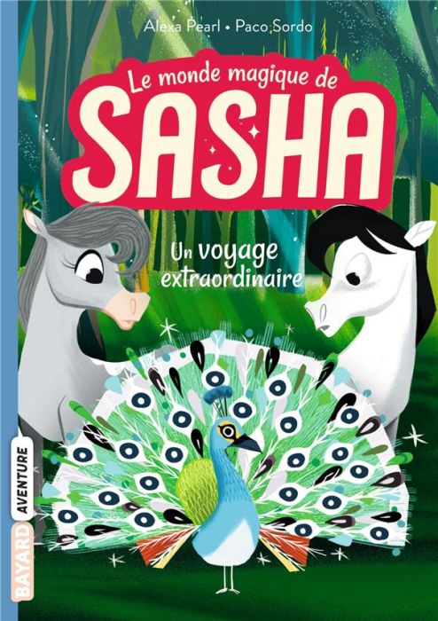 Emprunter Le monde magique de Sasha Tome 2 : Un voyage extraordinaire livre