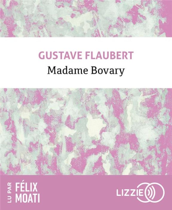 Emprunter Madame Bovary. 1 CD audio MP3 livre