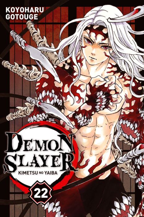 Emprunter Demon Slayer Tome 22 livre