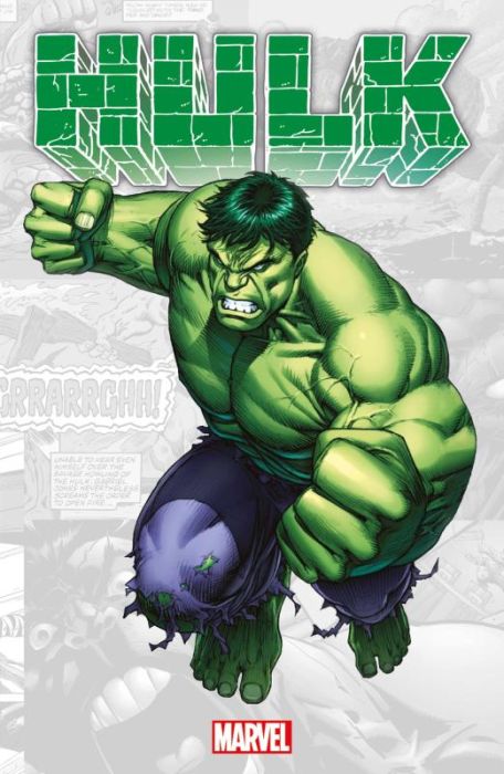 Emprunter Marvel Verse : Hulk livre