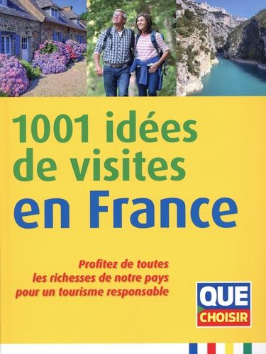 Emprunter 1001 idées de visites en France. Profitez de toutes les richesses de notre pays pour un tourisme res livre