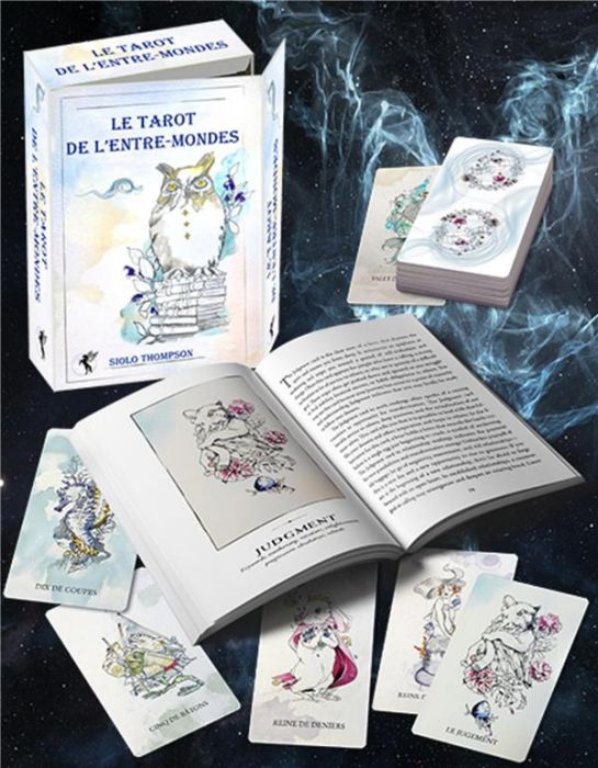 Emprunter Tarot de l'Entre-Mondes. Avec un tarot de 78 cartes livre