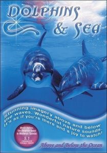 Dolphins And Sea - Goodall Medwyn
