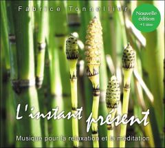 L'instant présent : Nouvelle Edition - Tonnellier Fabrice