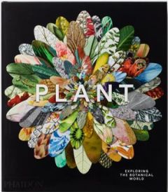 PLANT: EXPLORING THE BOTANICAL WORLD - PHAIDON EDITORS