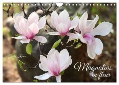 Magnolias en fleur (Calendrier mural 2025 DIN A4 vertical), CALVENDO calendrier mensuel. Magnifiques - Kruse Gisela