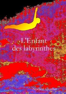 L'Enfant des labyrinthes - Crochet Norbert