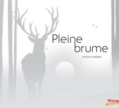 Pleine brume - Guilloppé Antoine