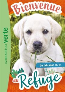 Bienvenue au refuge 08 - Un labrador en or - Livre Hachette - Ruter Pascal
