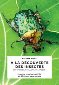 A la découverte des insectes. Coccinelles, papillons, scarabées... - Peyrot Morgane - Jeuge-Maynart Isabelle - Stora Gh