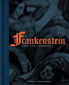 Frankenstein, créé des ténèbres - Spurr David - Ducimetière Nicolas