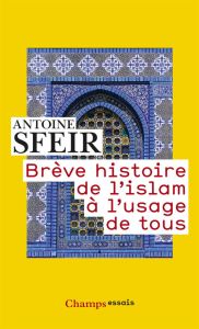 Brève histoire de l'islam à l'usage de tous - Sfeir Antoine