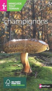 Champignons - Hofmann Helga - Rovéa Jean