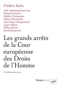 Les grands arrêts de la Cour européenne des droits de l'homme. 10e édition actualisée - Sudre Frédéric