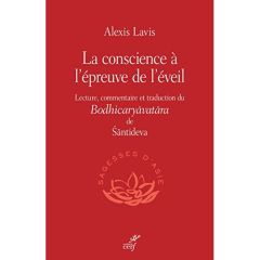 La conscience à l'épreuve de l'éveil - Lavis Alexis