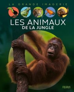 Les animaux de la jungle - Chauvelot Raphaëlle